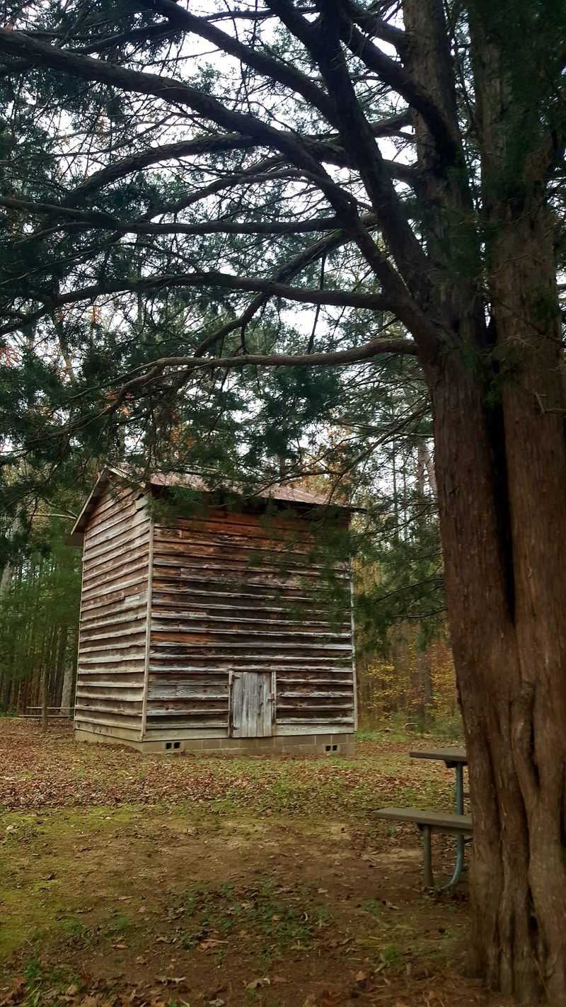 Birdwatching That Rewards Patience
