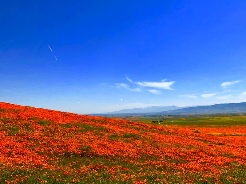 Photography Opportunities Rival Famous Artistic Landscapes