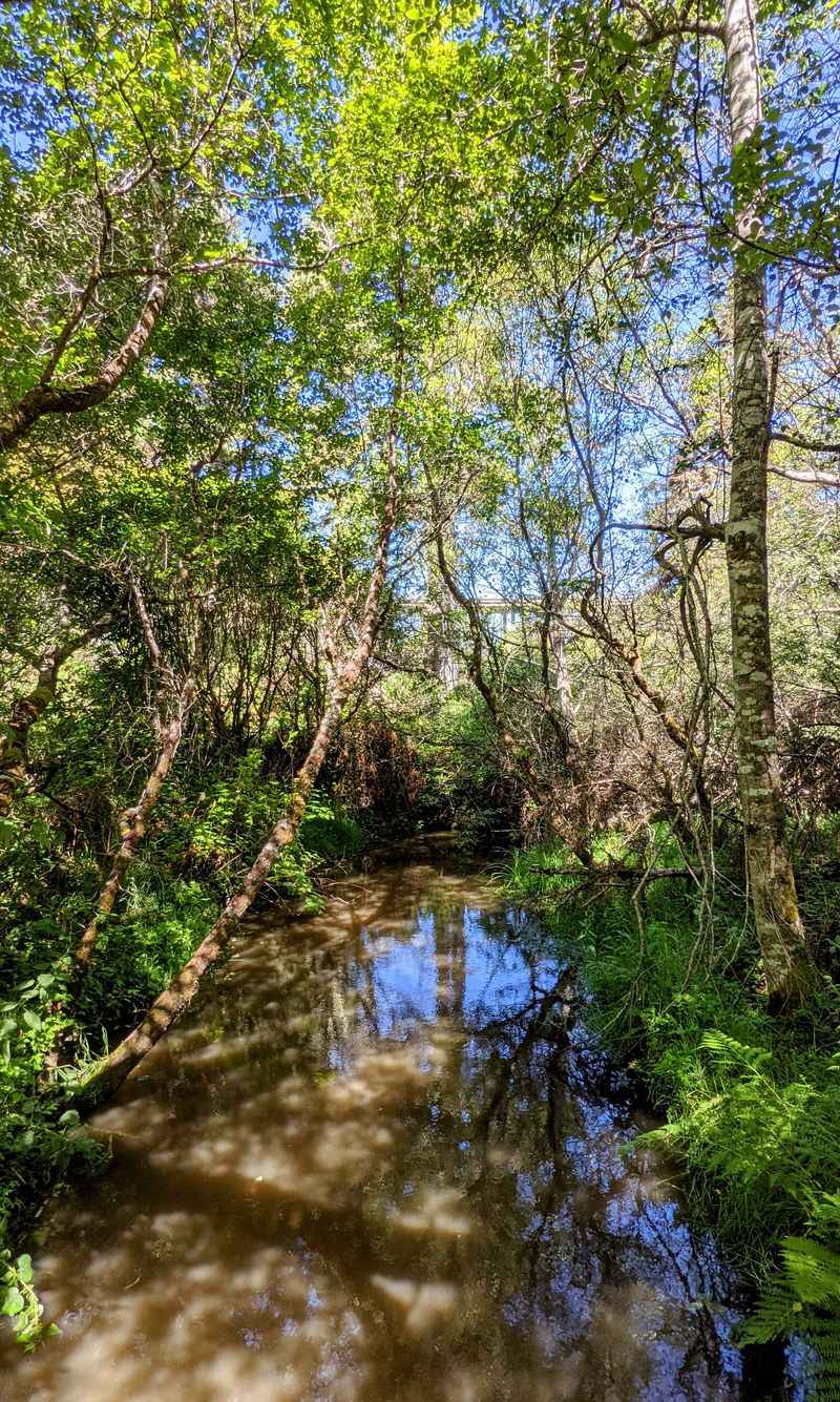 This Tiny California State Park Feels Worlds Away From Everyday Stress - Decor Hint Jug Handle Creek Runs Through The Reserve