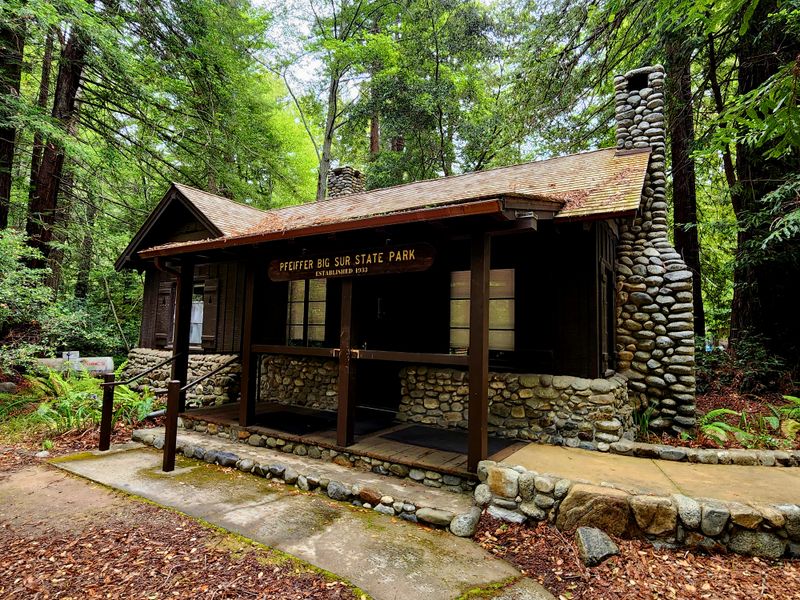 This Underrated California Park Feels Like A Mini National Park With Towering Ancient Redwoods - Decor Hint Ewoldsen Nature Center