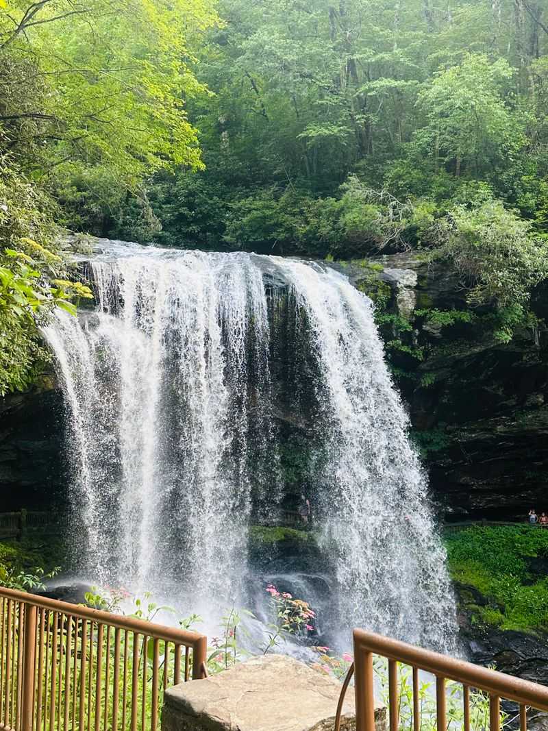 Discover North Carolina's Hidden Waterfall Paradise - Decor Hint Pack Smart Essentials