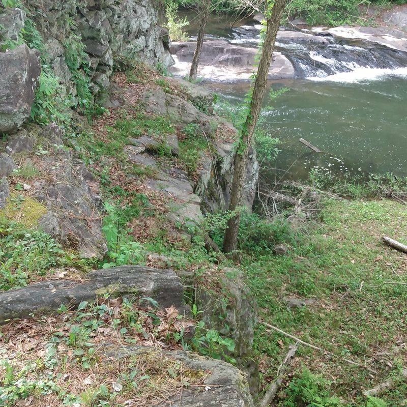 Photography and Nature Workshops