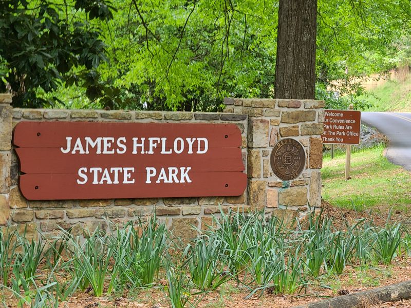 Playgrounds For Young Visitors