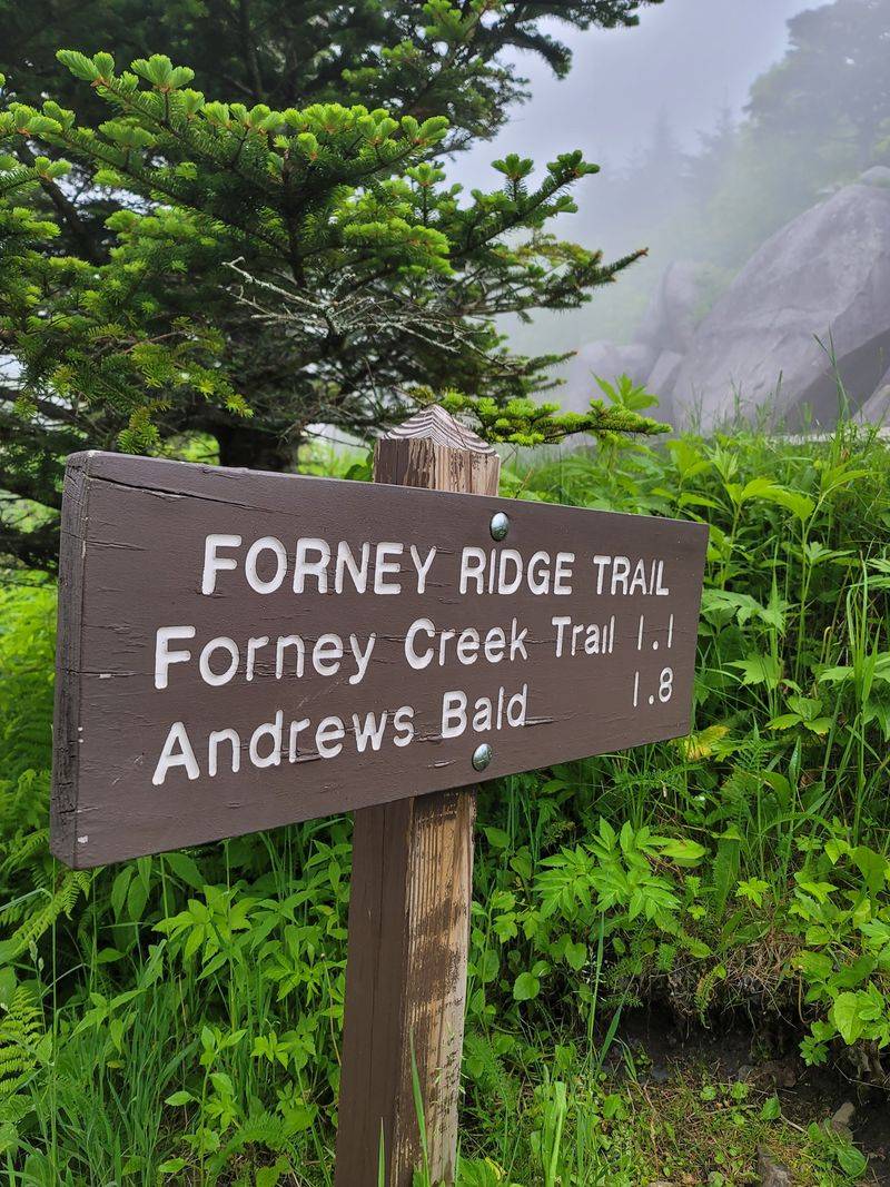 Traction Devices For Icy Conditions