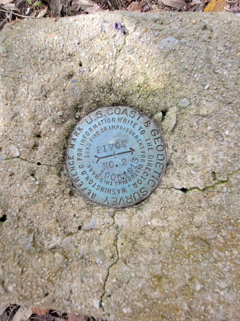 This Winter Hunt on Jekyll Island Is Turning Georgia Visitors Into Treasure Seekers - Decor Hint The Hunt Connects to Jekyll Island's Historic Past