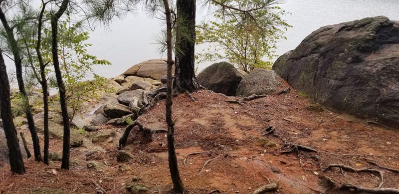 Hiking Trails Through Beautiful Forests