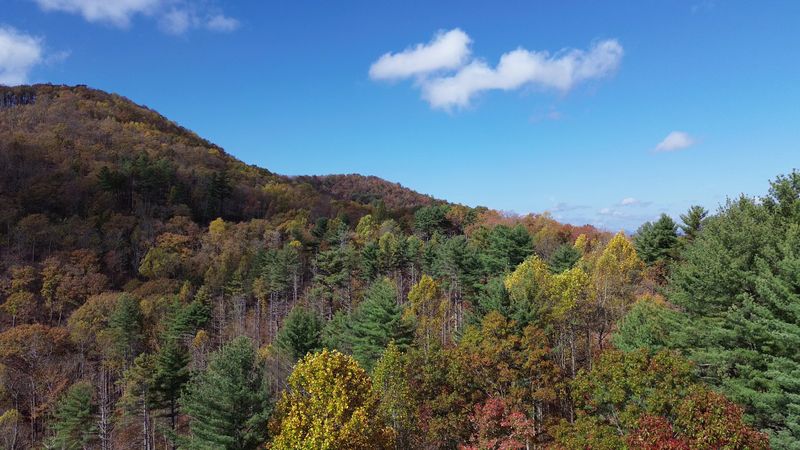 Chattahoochee National Forest Adventures