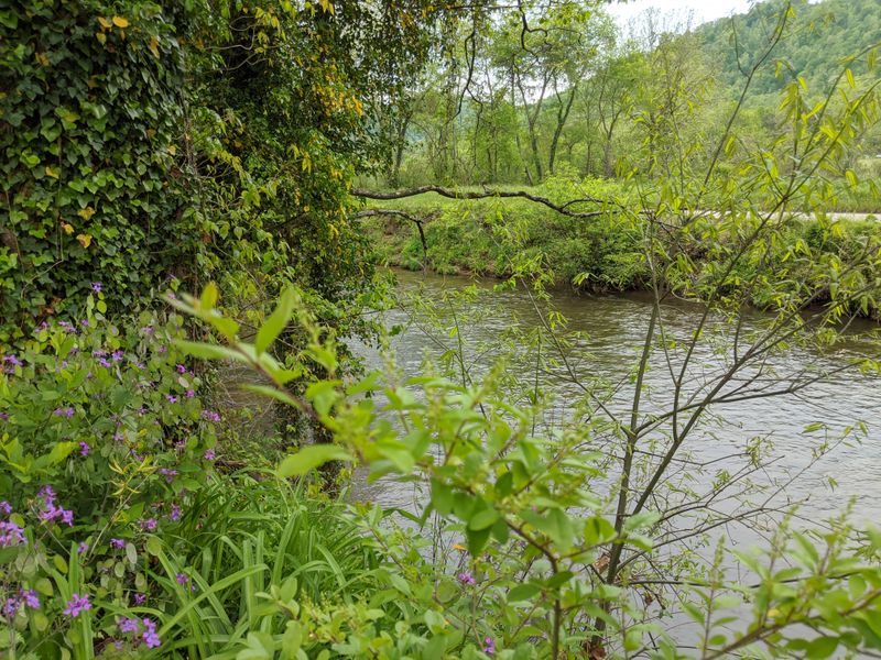 Geological Marvel Along The Cullasaja River
