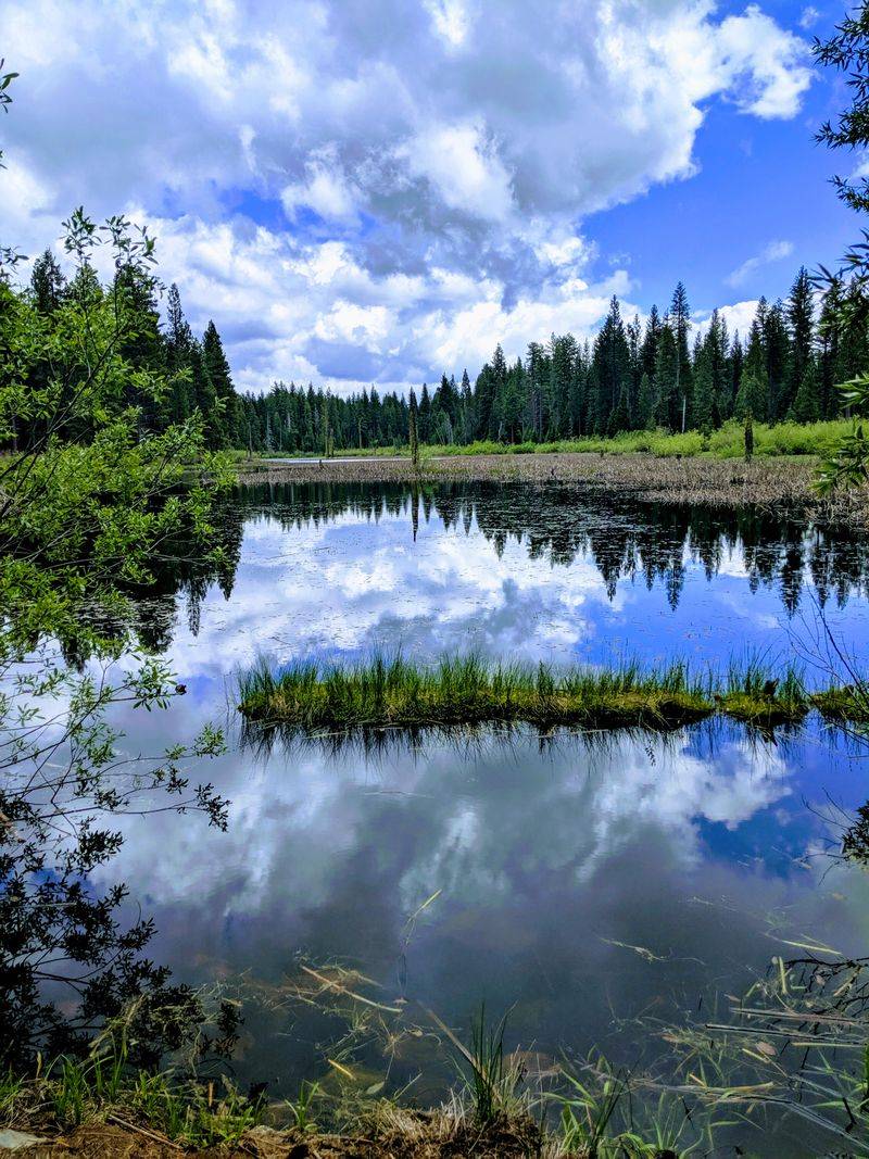 Madora Lake Loop Provides Family-Friendly Trail Access