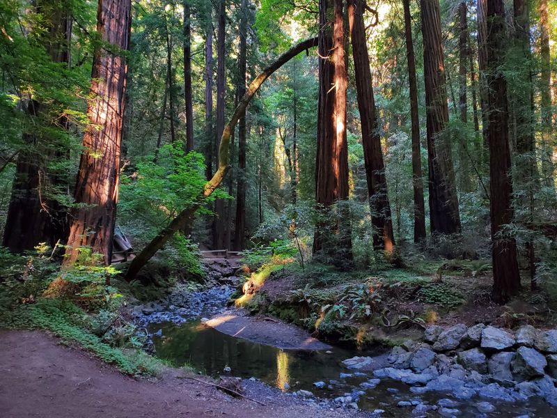 Trail Surface Variations And Navigation