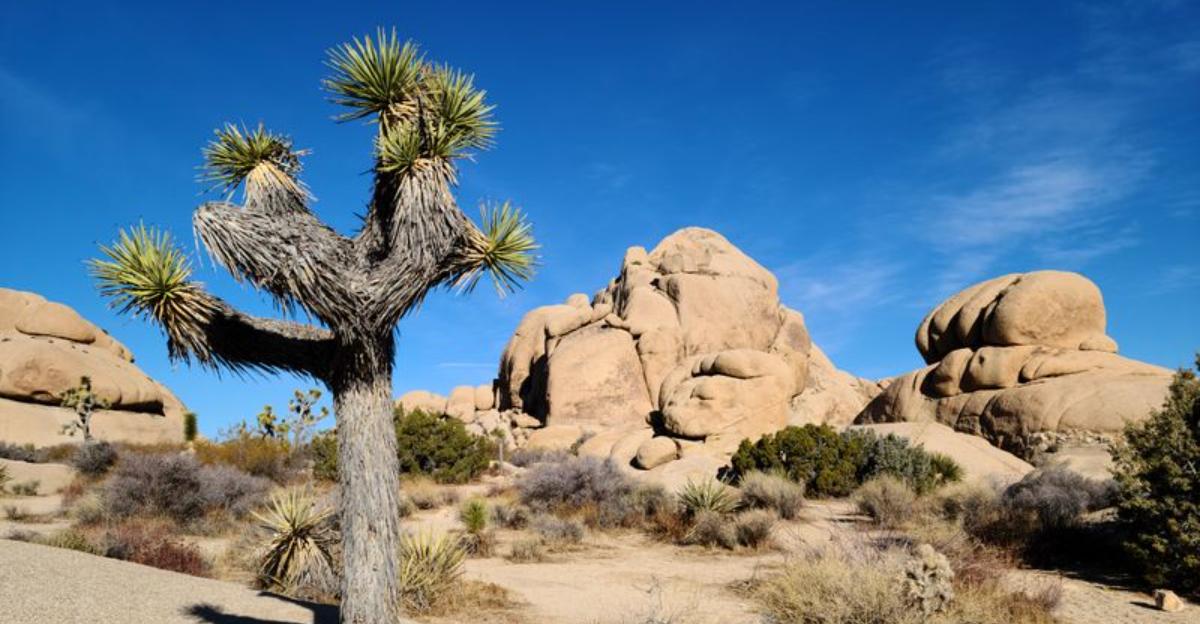 Your Ultimate Guide To Drought Free Travel In California 10 Best Places To Explore Right Now - Decor Hint