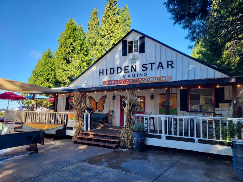 Hidden Star Camino