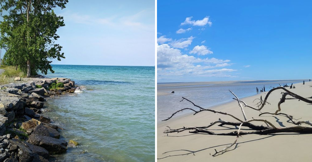 13 Georgia Islands Locals Say Have Changed More Than You Think - Decor Hint