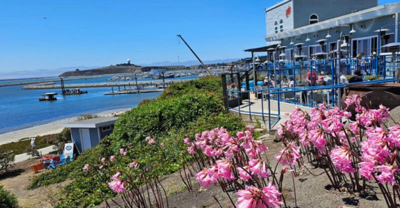 14 Charming Food Towns In California You Need To Explore Before They Get Too Popular