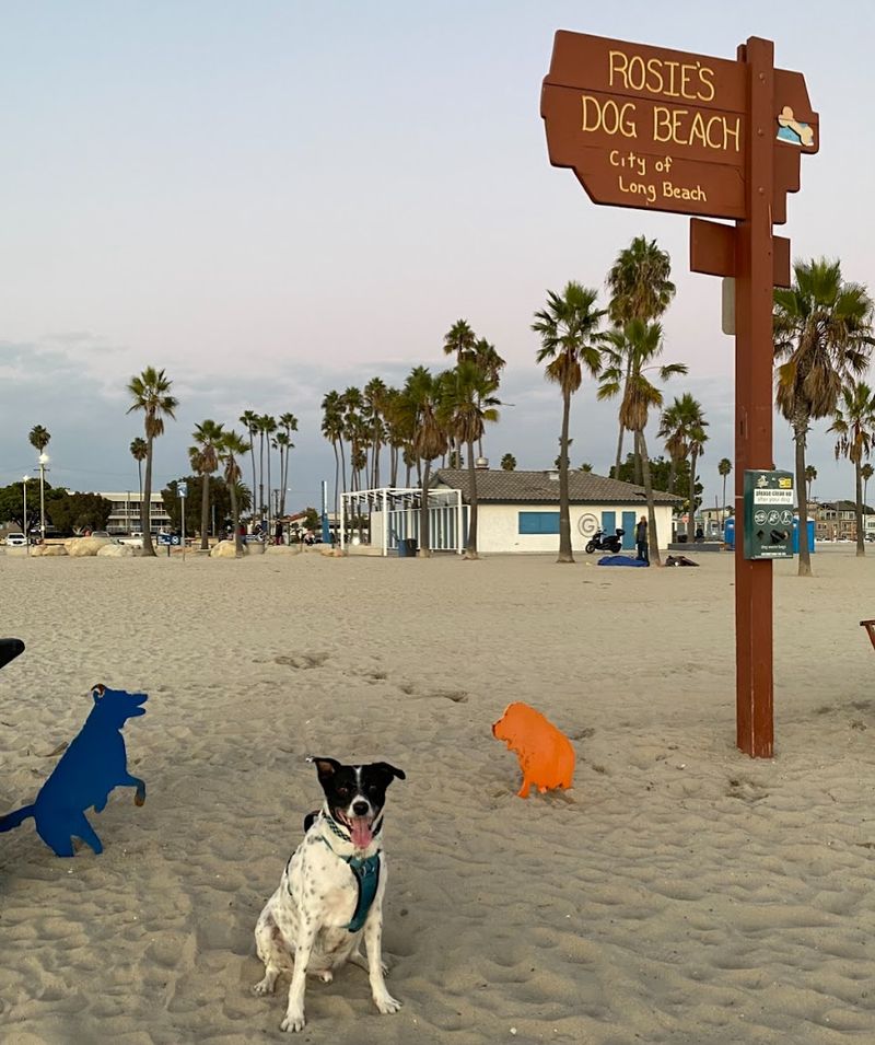 14 Unforgettable Dog Beaches In California That Will Make Your Pup Happier Than Ever - Decor Hint Rosie's Dog Beach