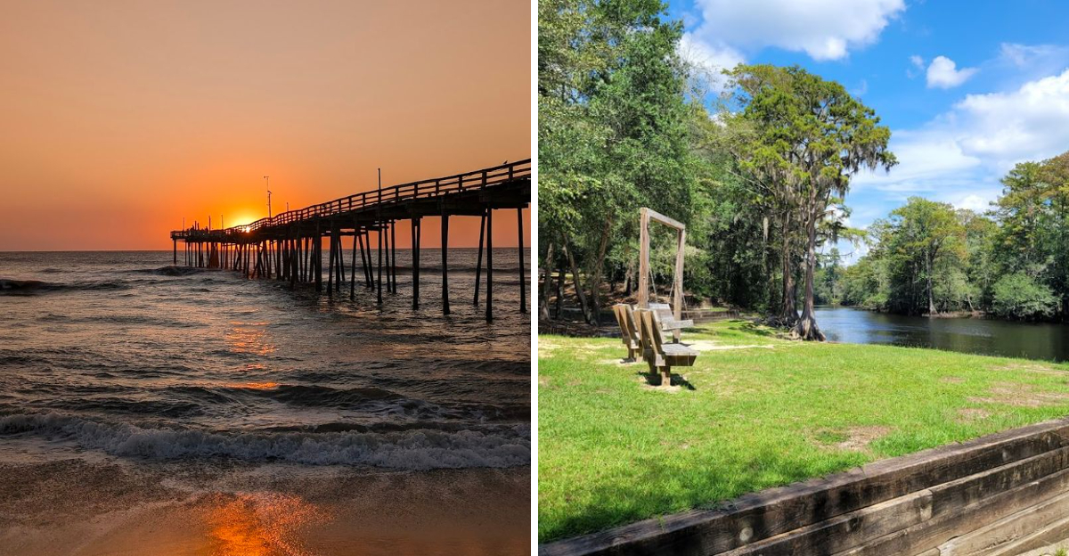 16 Springtime Favorites In North Carolina You Cant Miss - Decor Hint