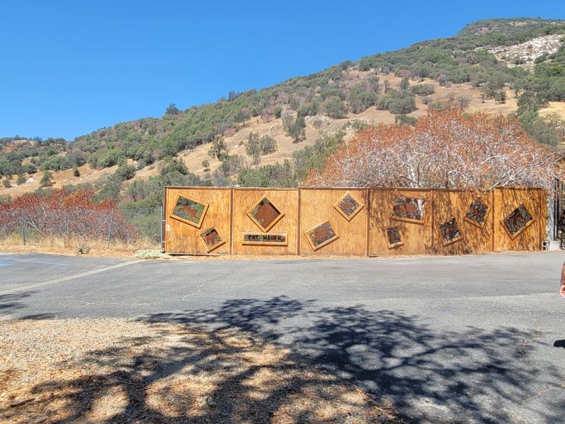 Where Is Project Survival's Cat Haven Located