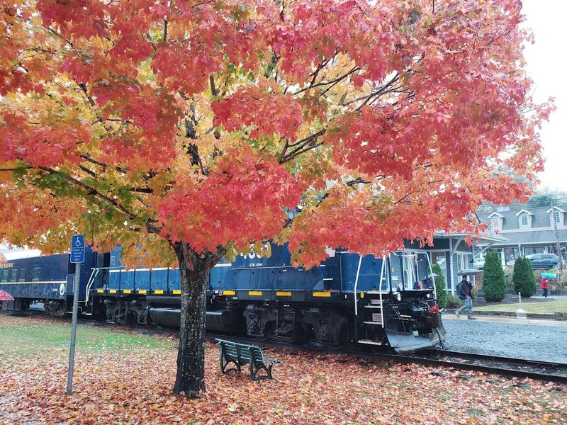 This Historic Train Ride The Blue Ridge Scenic Railway Georgia Is A 2026 Must-Do - Decor Hint Seasonal Rides That Make Every Visit Unique