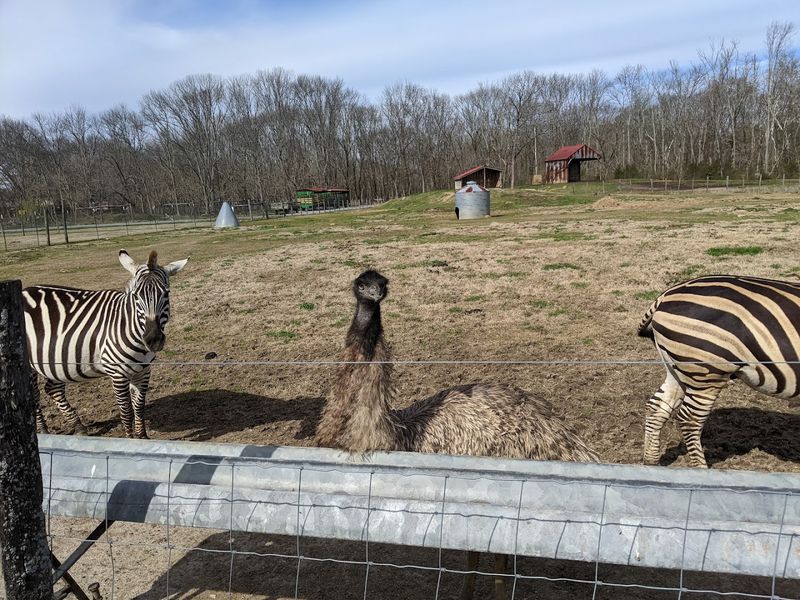 This Unassuming Georgia Farm Is Secretly Home To Some Of The World's Most Exotic Animals - Decor Hint Educational Field Trips That Students Actually Enjoy