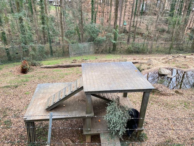 Dog-Friendly Park With An On-Site Dog Park