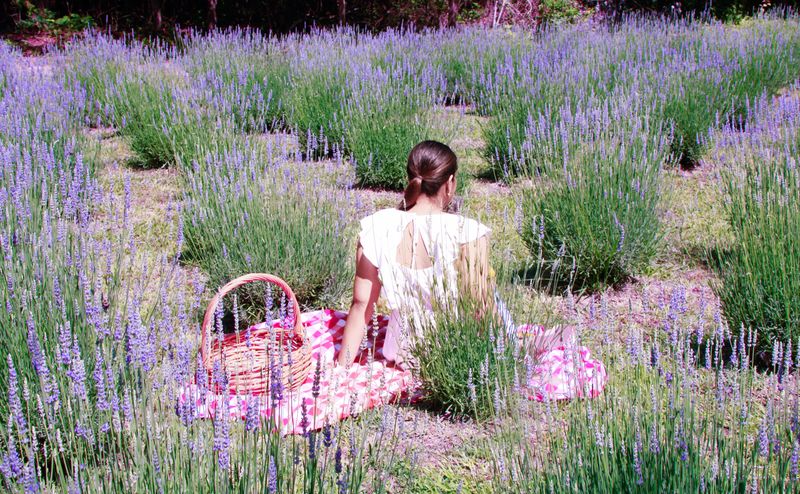 The U-Pick Experience That Connects You To Nature