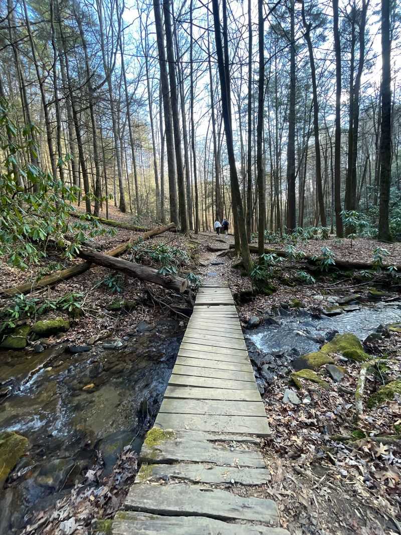 The Trail Follows a Beautiful Mountain Stream