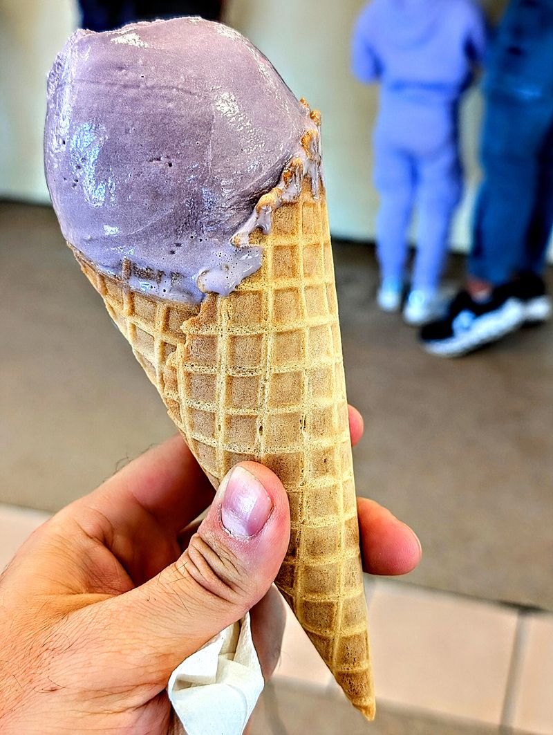 Twenty Eight Flavors Of Pure Joy