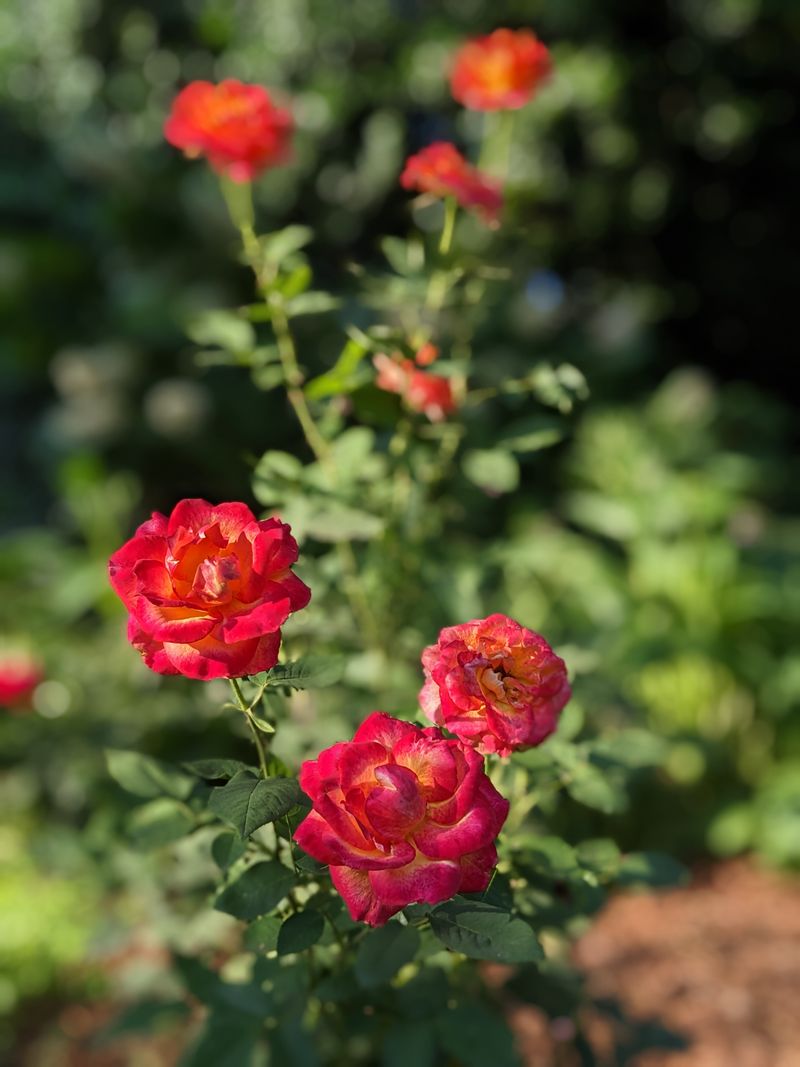 Over A Thousand Reasons To Visit