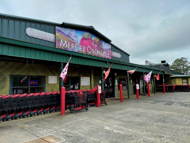 This Beloved Mountain Farm Mercier Orchards Blue Ridge Georgia Is A 2026 Must-Visit - Decor Hint An Unforgettable Weekend Getaway From Atlanta Just Two Hours Away