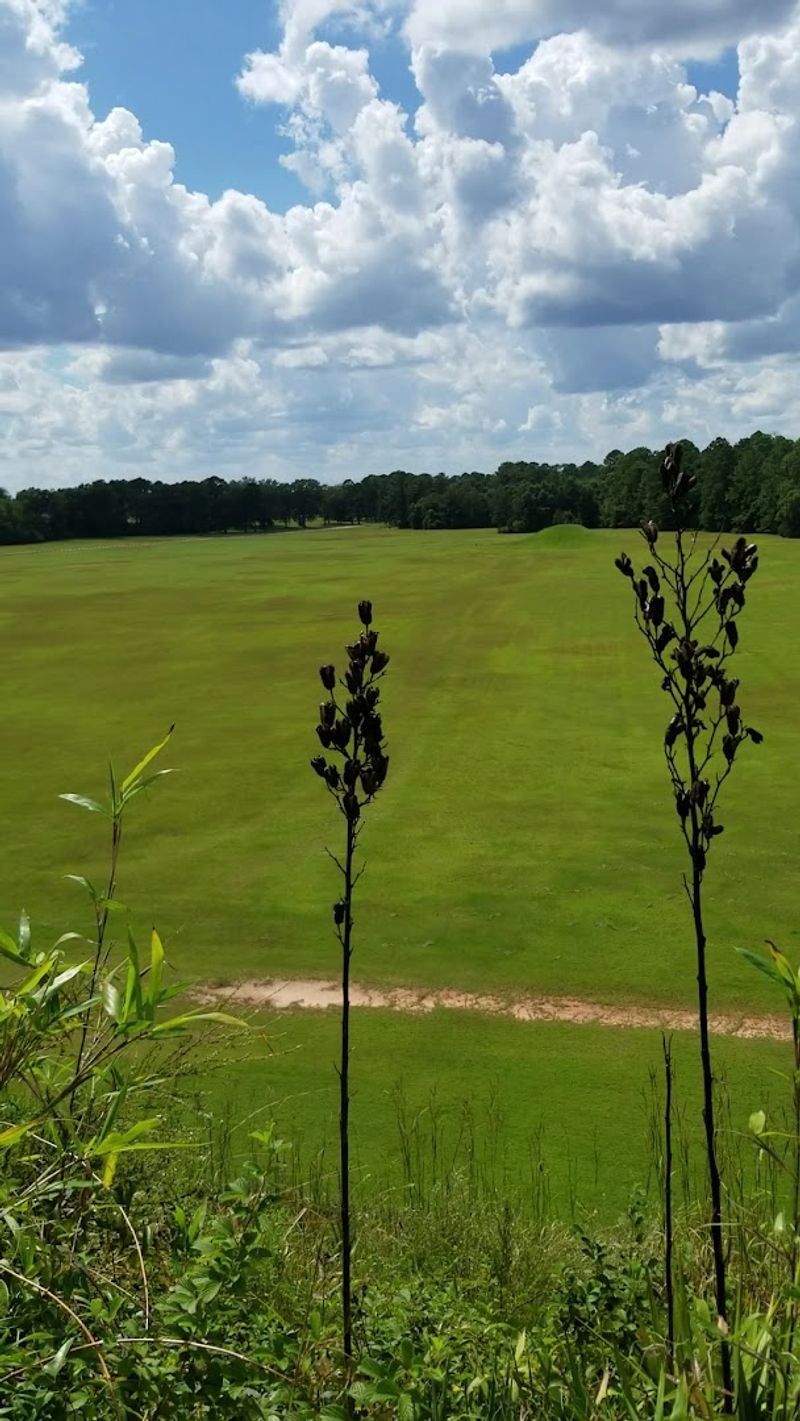 This Massive Earthen Mound in Georgia Holds the Secrets of a Long-Vanished People - Decor Hint Diverse Flora and Fauna Across Multiple Ecosystems