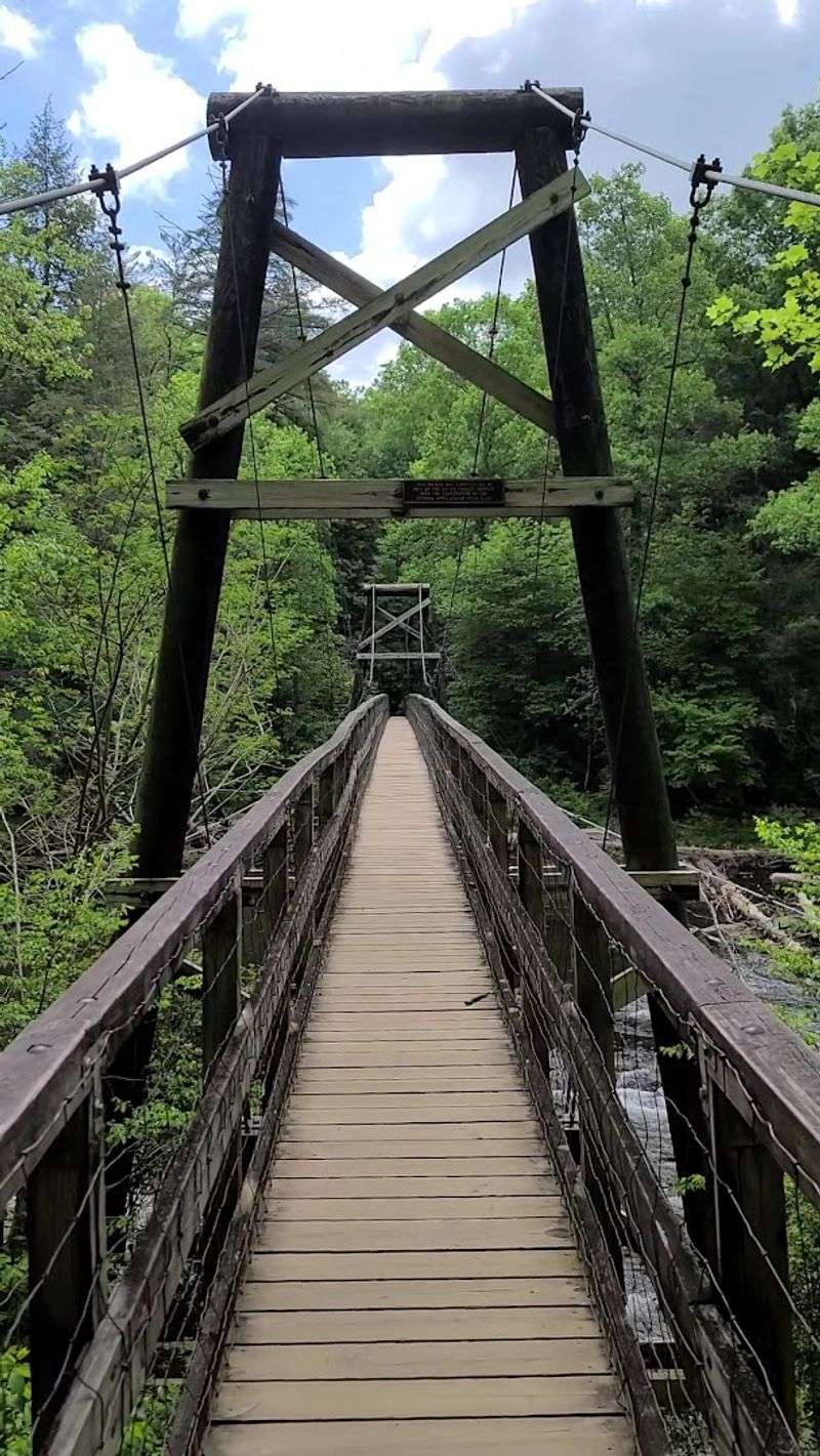 This Is Where You'll Find Georgia's Longest Swinging Bridge Hanging Suspended Over A Pristine River - Decor Hint Built by History, Maintained by Community