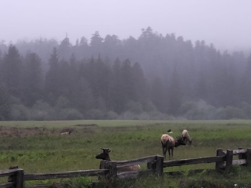 Life On The Edge Of Wilderness