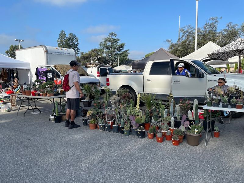 Affordable Two-Dollar Parking