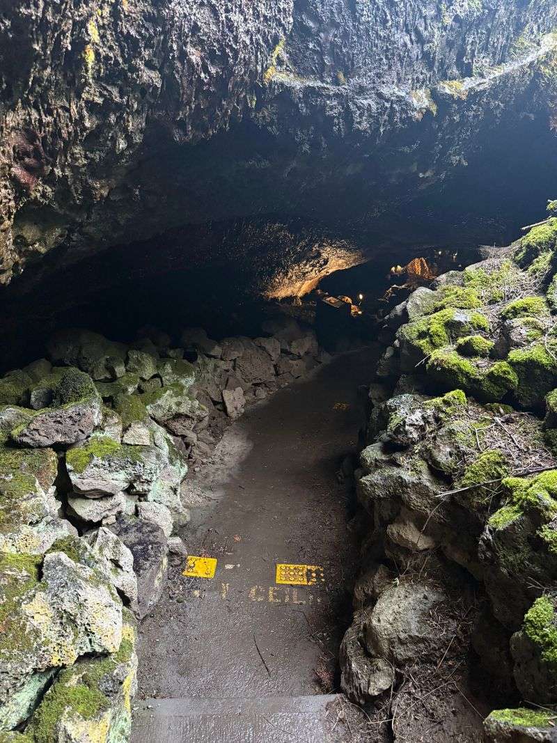 Mushpot Cave Offers The Perfect Introduction