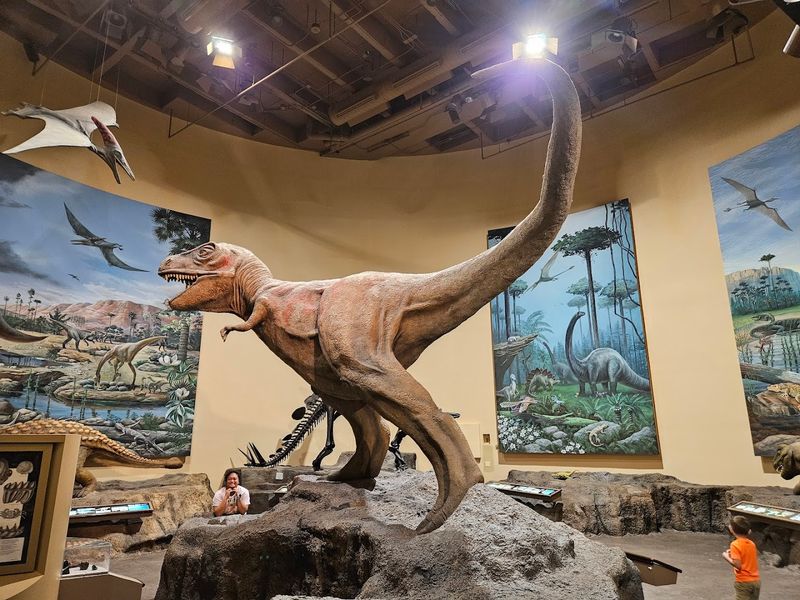 Step Into The Land Of Giants At This Incredible Atlanta Georgia Museum That Houses The World's Largest Dinosaurs - Decor Hint Fossil Floors