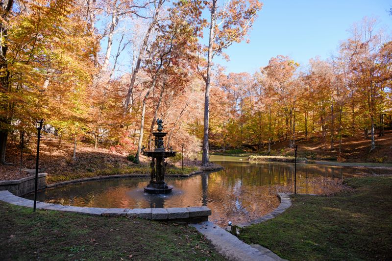 Sixty Acres Of Enchanted Woodland Grounds