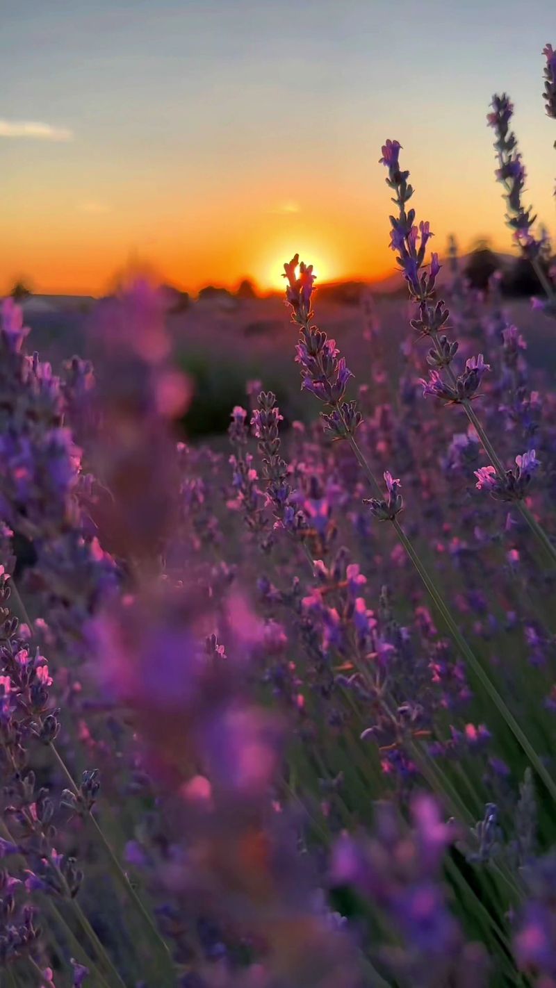 Location In Cherry Valley And Regional Context