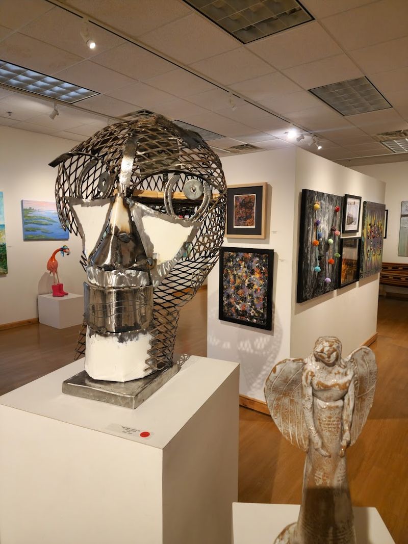 Rotating Exhibitions That Always Feel Fresh