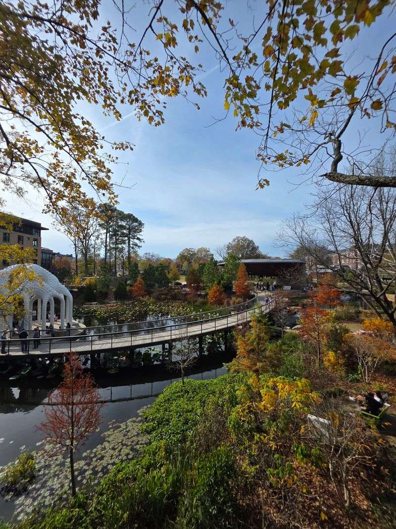Seasonal Changes In The Canopy