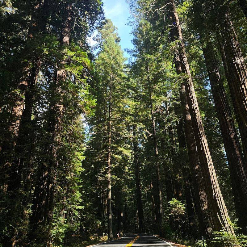 Diverse Wildlife Including Deer And River Otters