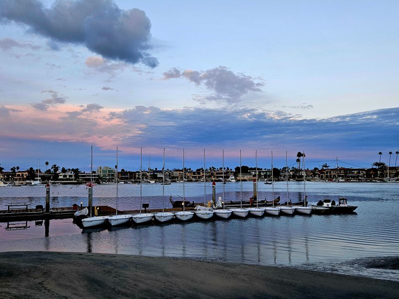 Contact Information And Booking Details