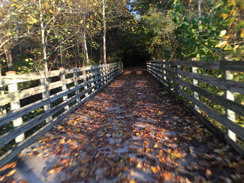 Photography Opportunities Abound Throughout The Journey