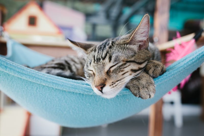 Valentine's Day Events Add Extra Romance To Your Visit