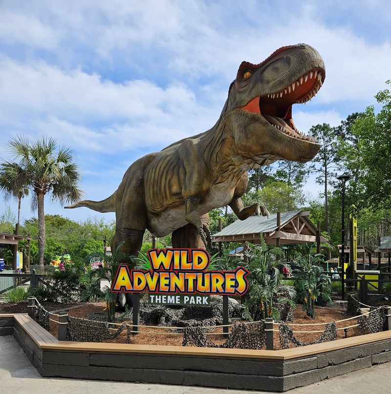 This Thrill-Packed Theme Park Wild Adventures Georgia Is A 2026 Must-Visit - Decor Hint Convenient South Georgia Location