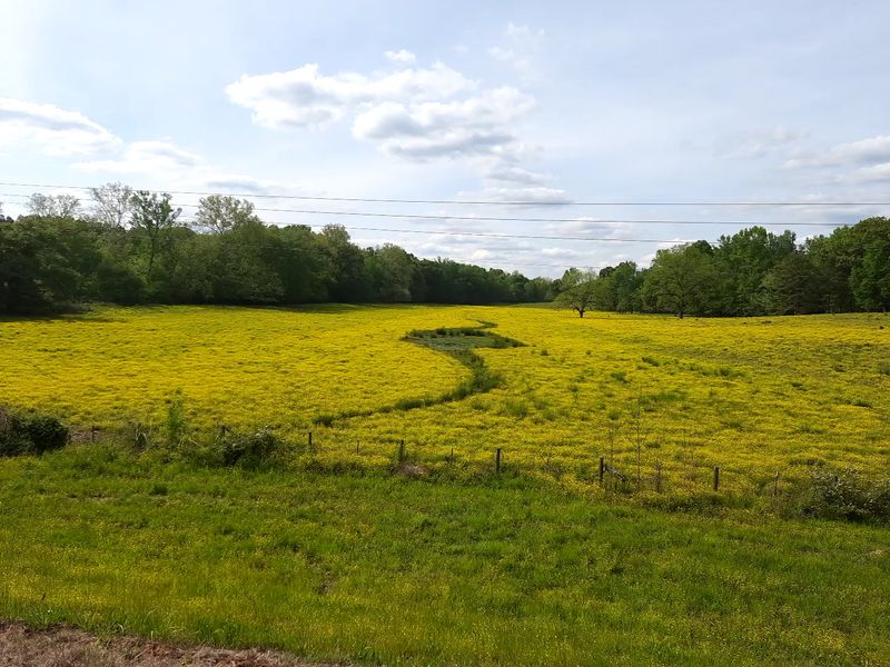 Escape from Modern Life's Hustle