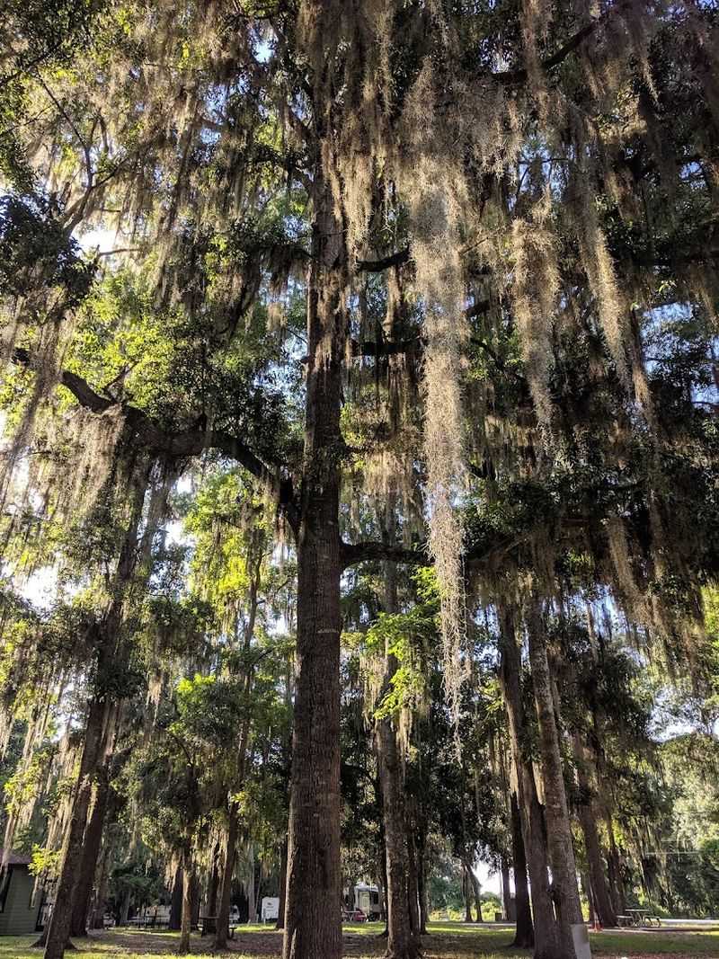 Disconnect from Technology and Reconnect with Nature