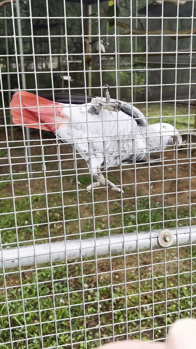 Supporting A Nonprofit Mission