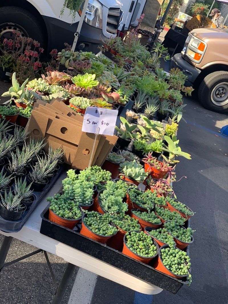 Operating In All Weather Conditions