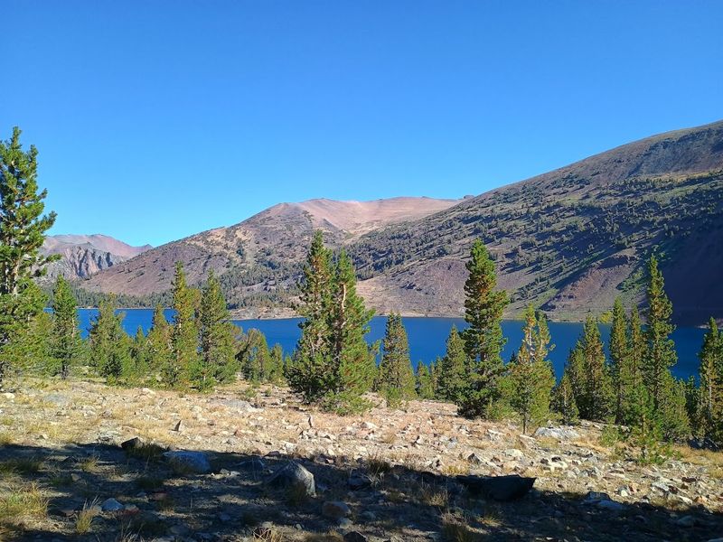 Saddlebag Lake Dispersed Camping