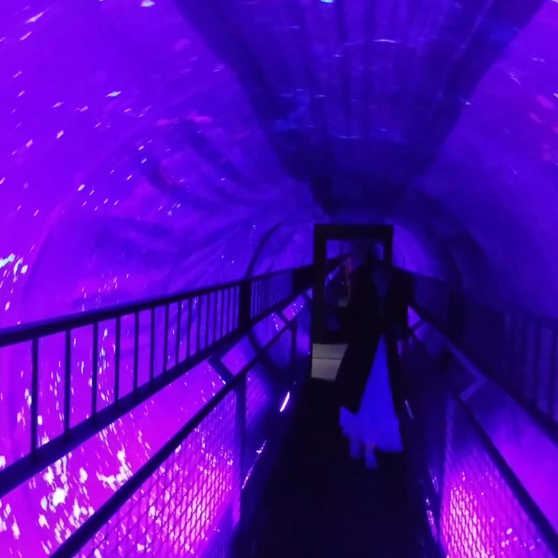 Step Into Illusion At This North Carolina Museum Where Reality Gets Twisted - Decor Hint Vortex Tunnel Spins Without Moving You